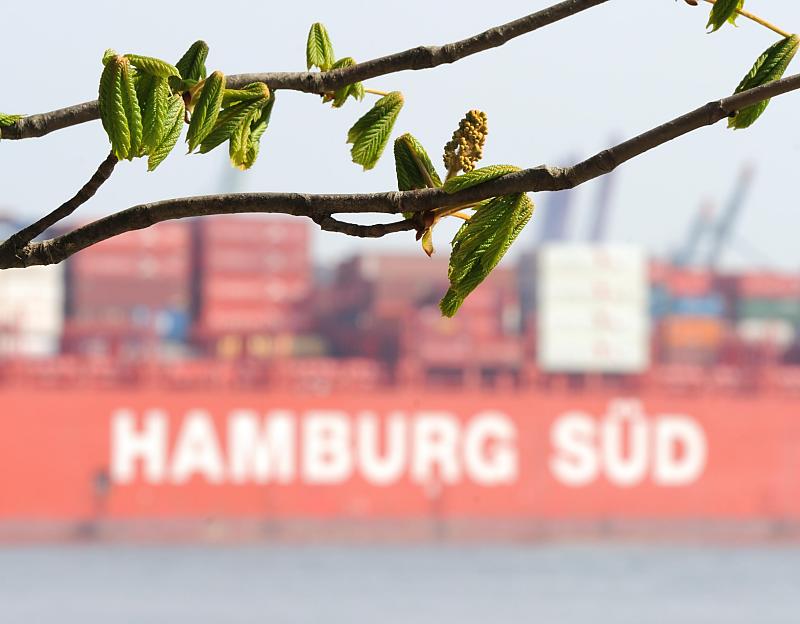 1850_2134 Containerschiff der Reederei Hamburg Süd - junge Kastanienblätter. | Bilder vom Fruehling in Hamburg; Vol. 1